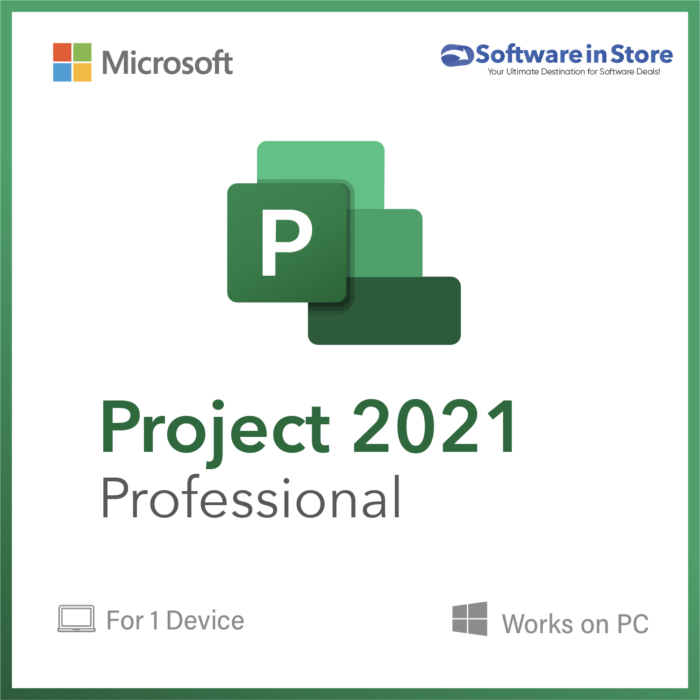 Project 2021 Professional