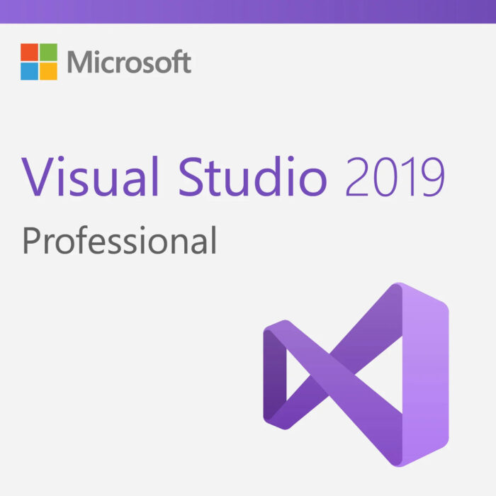 Visual Studio 2019 Professional