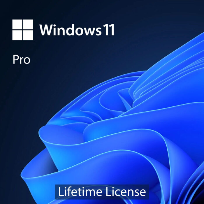 Windows 11 Professional